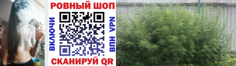 Названия наркотиков Тара APVP МЕФ ГАШ Конопля